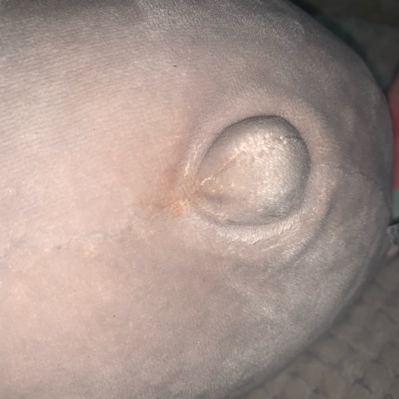 Pusheen bundle - Picture 4 of 8